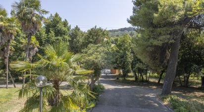 Casale 15 locali di 630 m² in Ancona (60131)