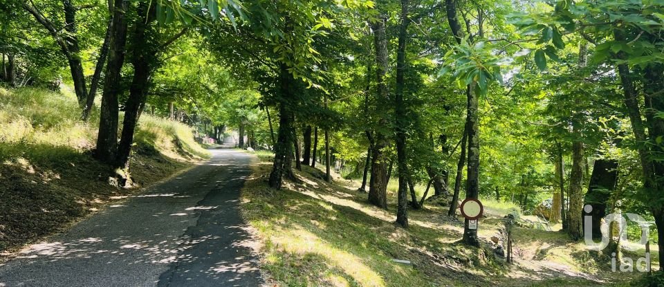 Casa indipendente / Villa 8 locali di 155 m² in Borzonasca (16041)