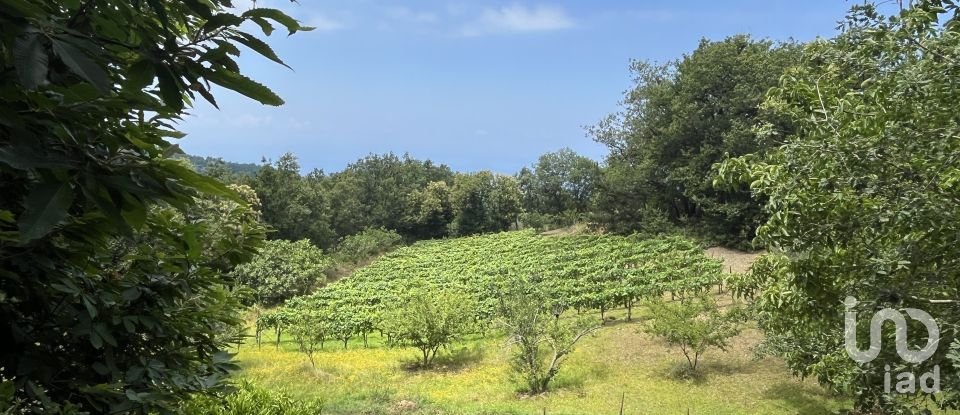 Casa indipendente 5 locali di 251 m² in - (87030)