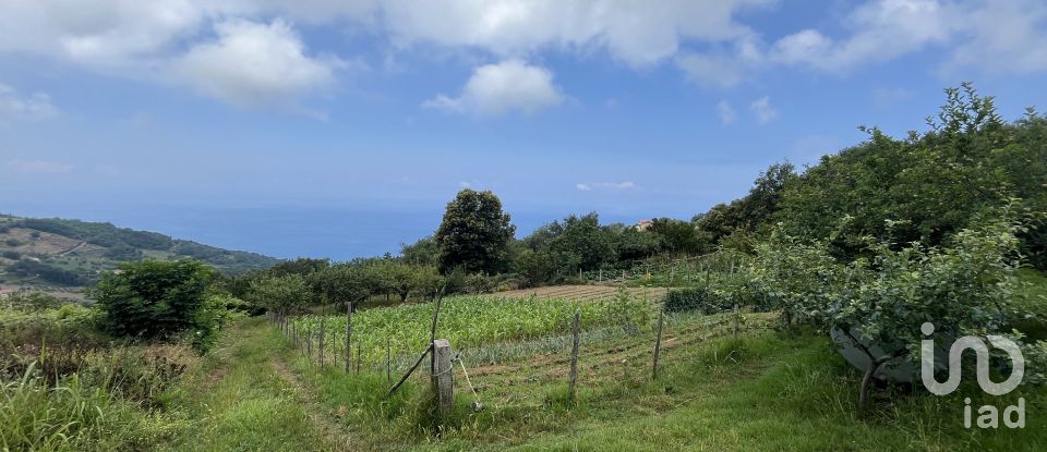 Casa indipendente 5 locali di 251 m² in - (87030)