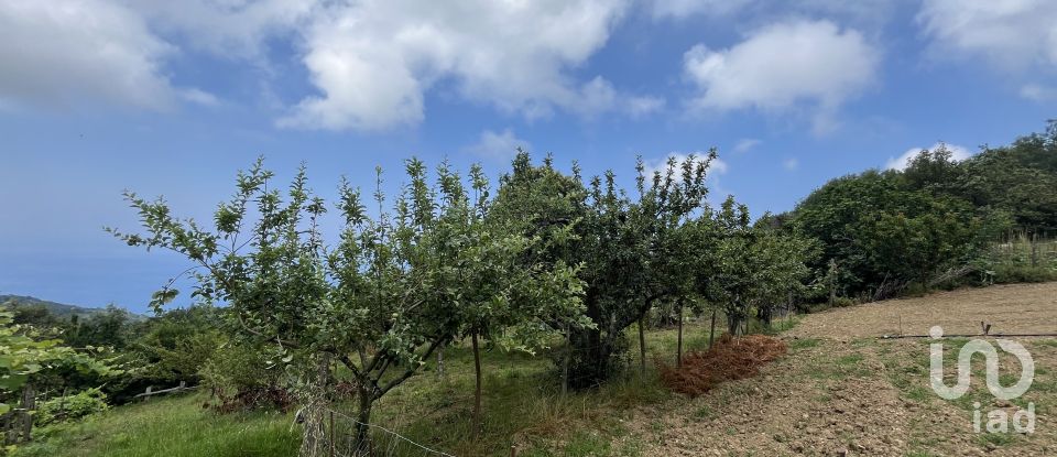 Casa indipendente 5 locali di 251 m² in - (87030)