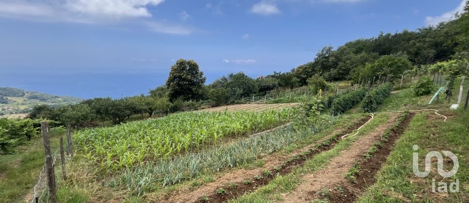 Casa indipendente 5 locali di 251 m² in - (87030)