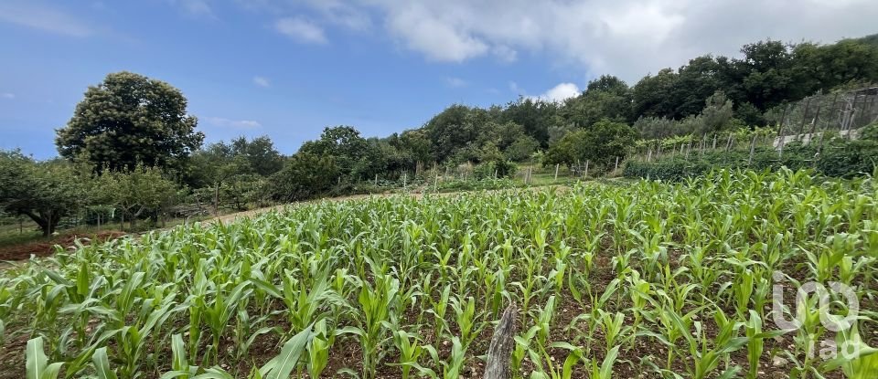 Casa indipendente 5 locali di 251 m² in - (87030)