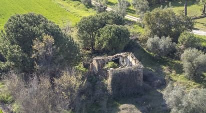 Rustico 3 locali di 190 m² in Montecosaro (62010)