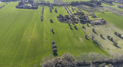 Country home 3 rooms of 190 m² in Montecosaro (62010)