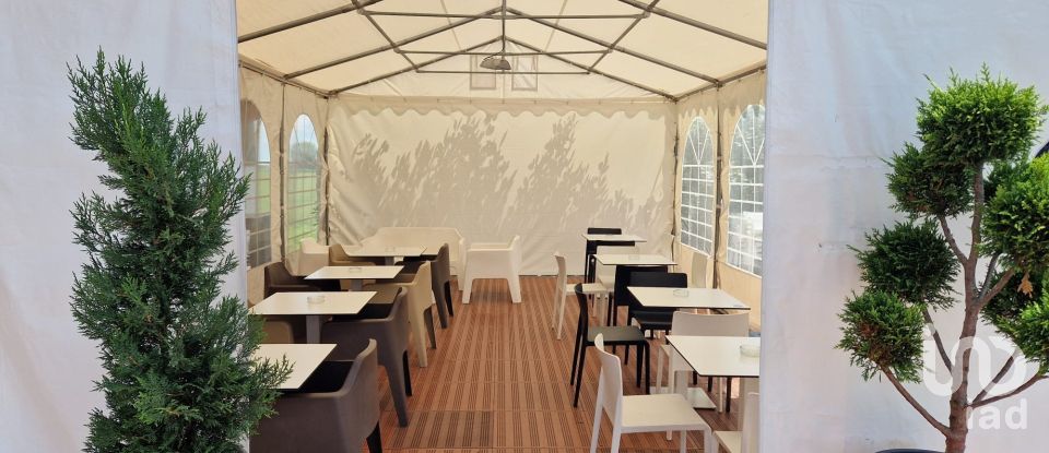 Bar of 208 m² in Rovigo (45100)