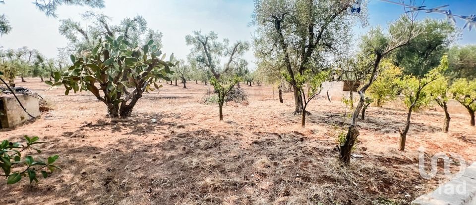 Farm 4 rooms of 73 m² in Francavilla Fontana (72021)