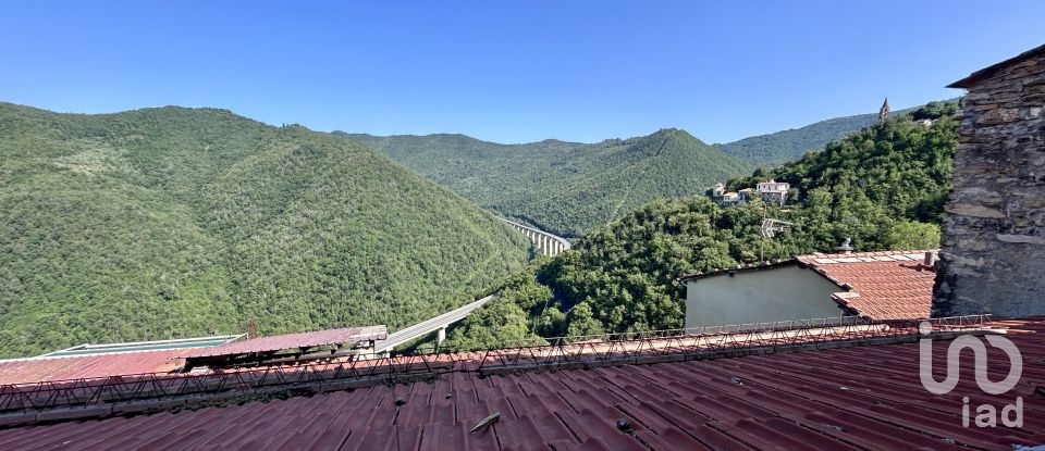 Appartamento 12 locali di 149 m² a Pieve di Teco (18026)