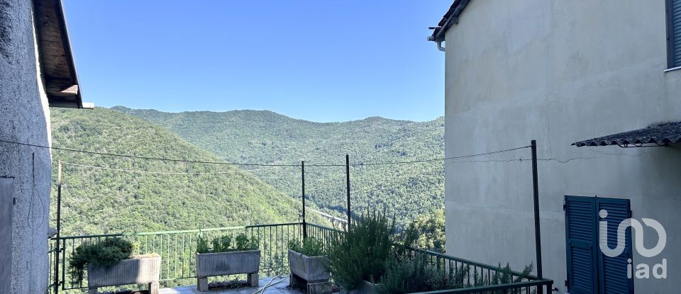 Appartamento 12 locali di 149 m² a Pieve di Teco (18026)