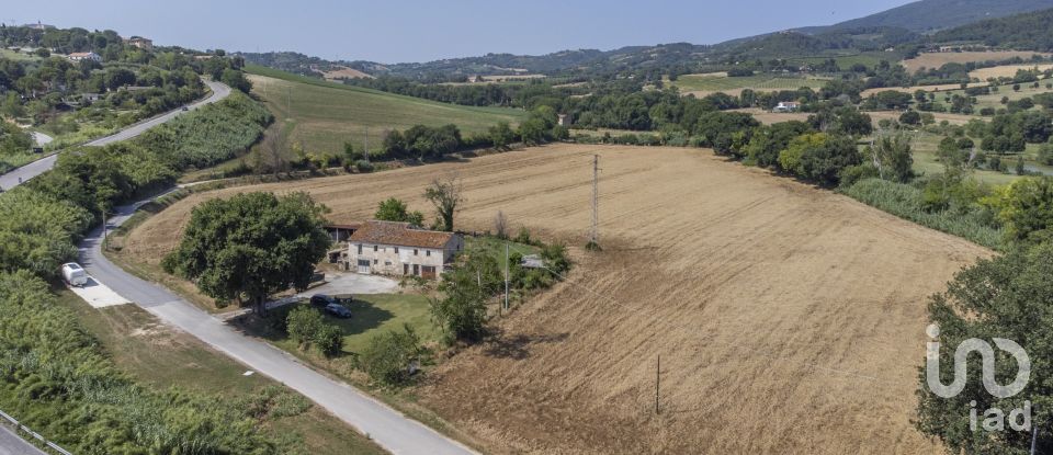 Farm land of 36,000 m² in Sirolo (60020)