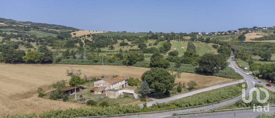 Farm land of 36,000 m² in Sirolo (60020)