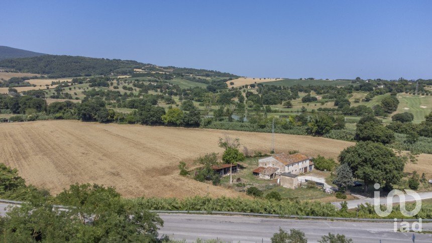 Farm land of 36,000 m² in Sirolo (60020)