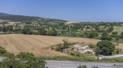 Terreno agricolo di 36.000 m² in Sirolo (60020)