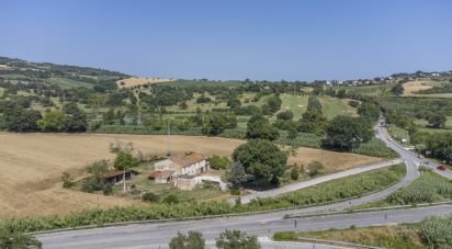 Terreno agricolo di 36.000 m² in Sirolo (60020)