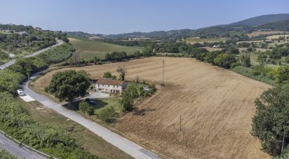 Terreno agricolo di 36.000 m² in Sirolo (60020)