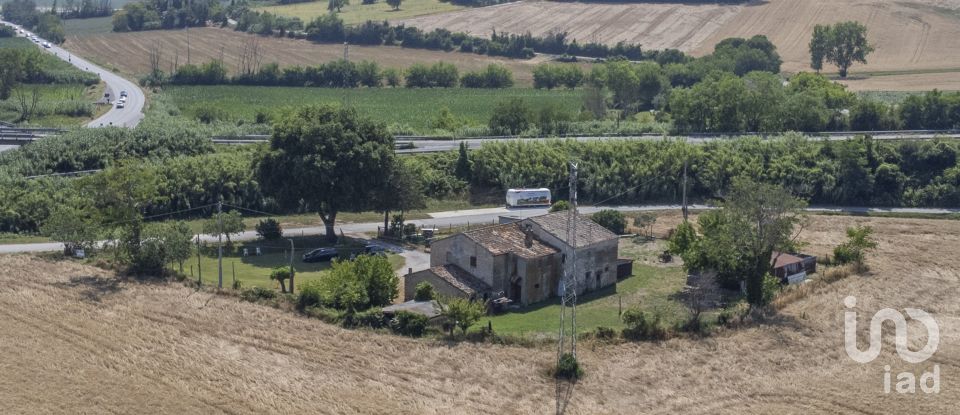 Terreno agricolo di 36.000 m² in Sirolo (60020)