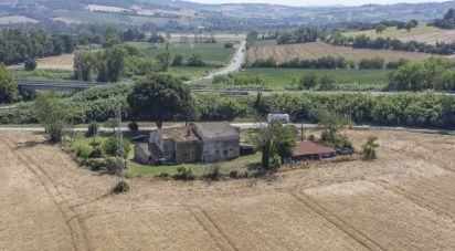 Terreno agricolo di 36.000 m² in Sirolo (60020)
