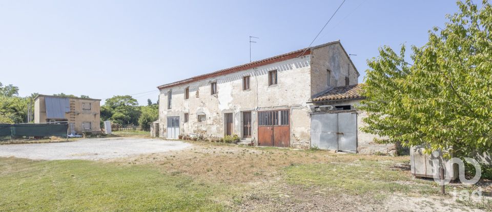 Terreno agricolo di 36.000 m² in Sirolo (60020)