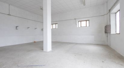 Negozio / locale commerciale di 118 m² in Agugliano (60020)