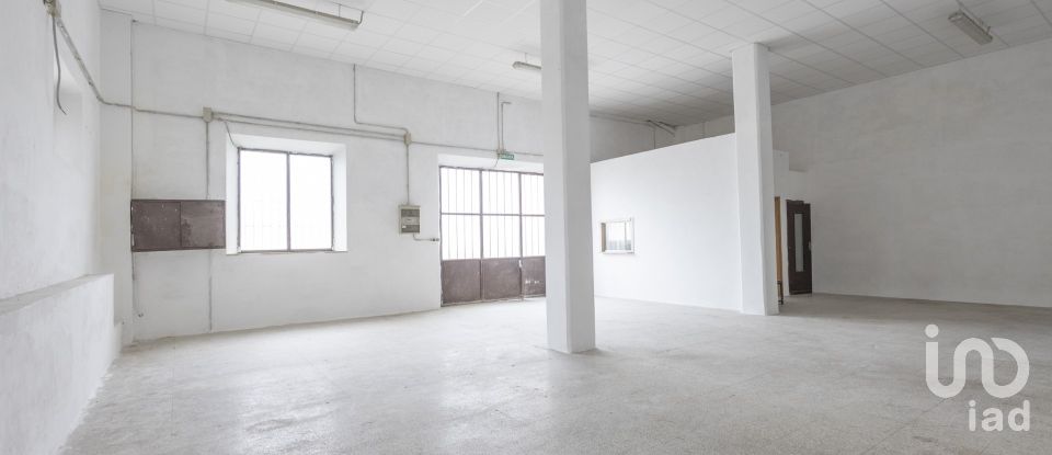 Negozio / locale commerciale di 118 m² in Agugliano (60020)