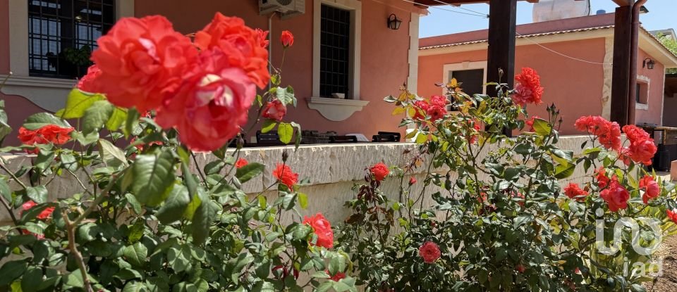 Casale 5 locali di 249 m² in Avola (96012)