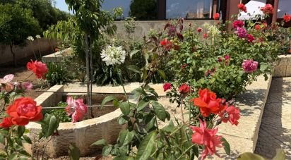 Casale 5 locali di 249 m² in Avola (96012)