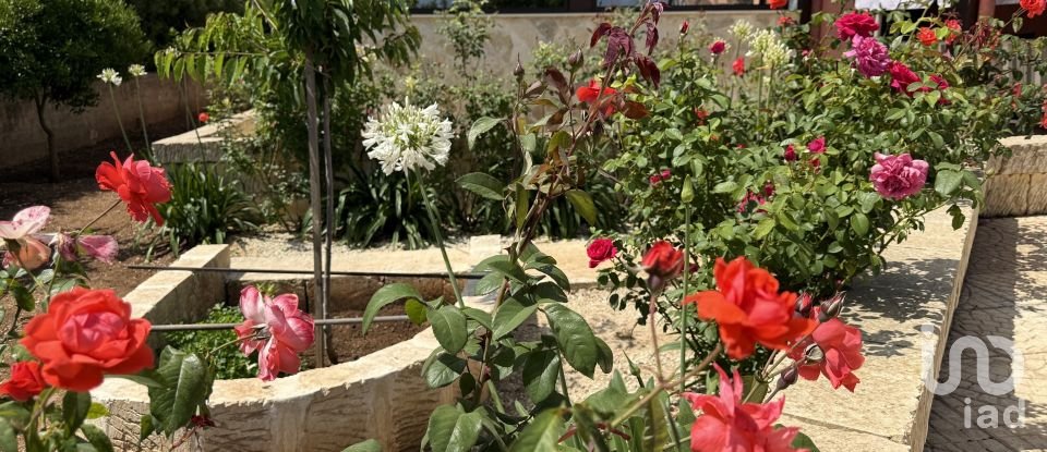 Casale 5 locali di 249 m² in Avola (96012)