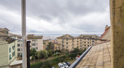 Parking of 22 m² in Genova (16134)