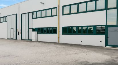 Capannone di 2.000 m² in Musile di Piave (30024)