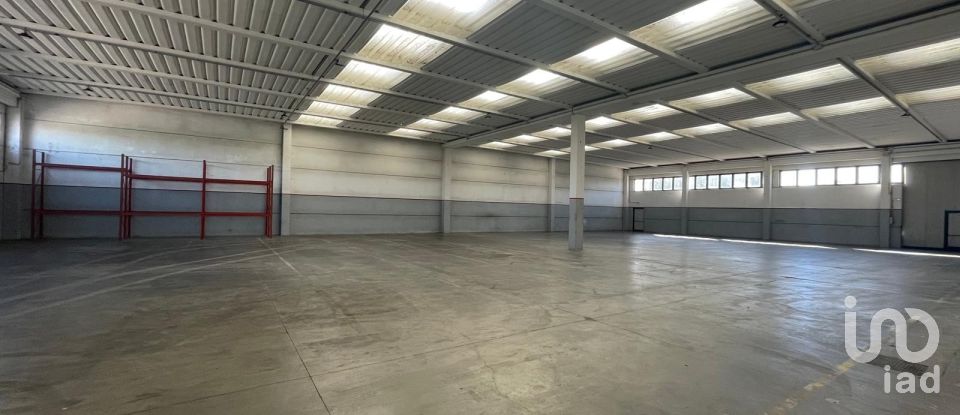 Capannone di 2.000 m² in Musile di Piave (30024)