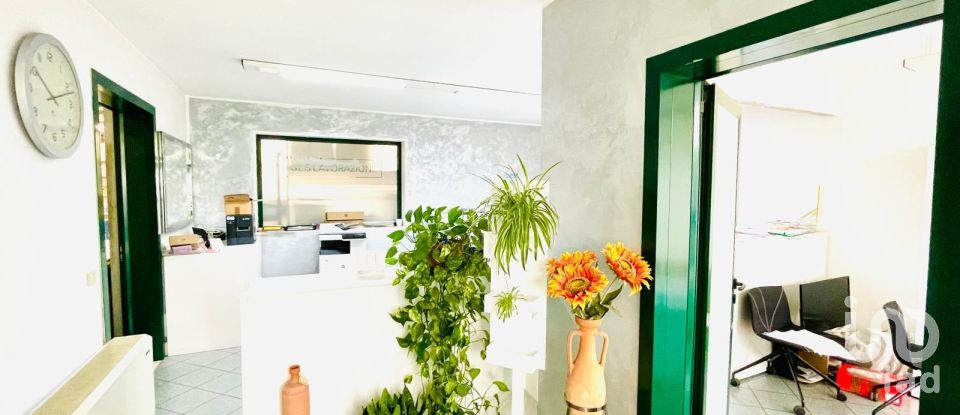 Capannone di 2.000 m² in Musile di Piave (30024)