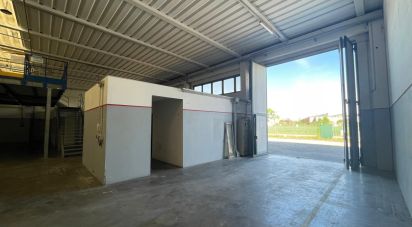Capannone di 2.000 m² in Musile di Piave (30024)
