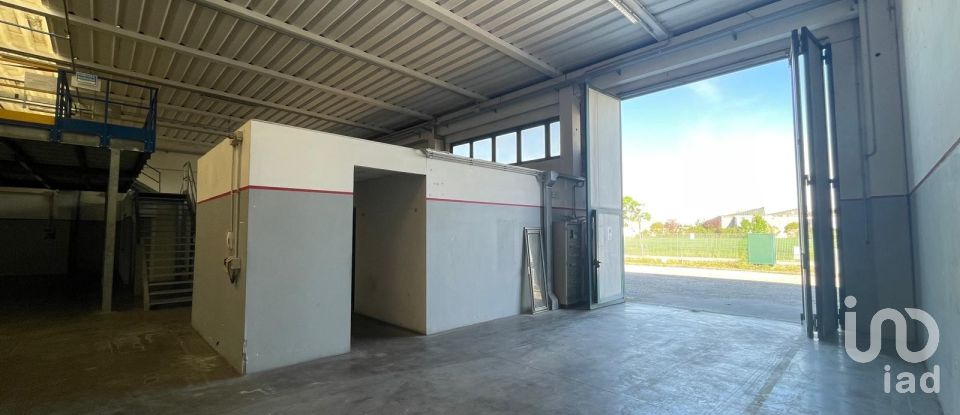 Capannone di 2.000 m² in Musile di Piave (30024)