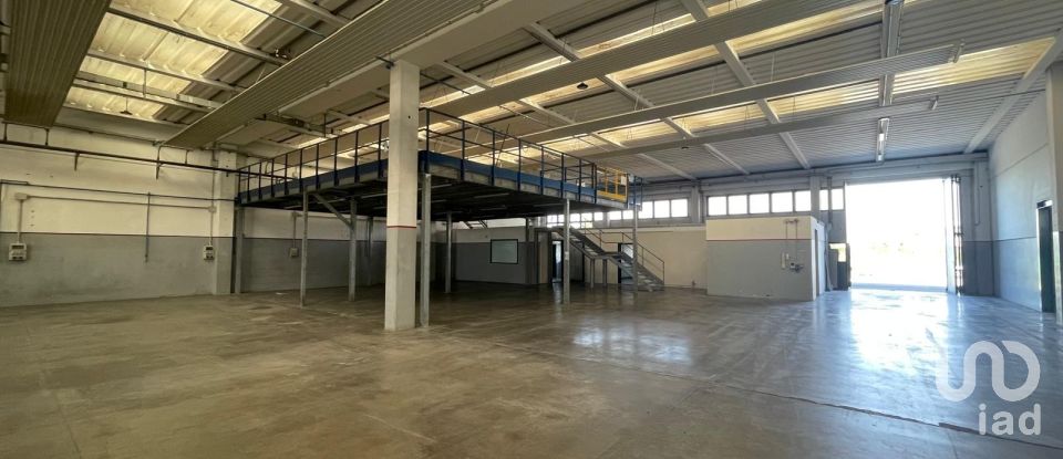 Capannone di 2.000 m² in Musile di Piave (30024)