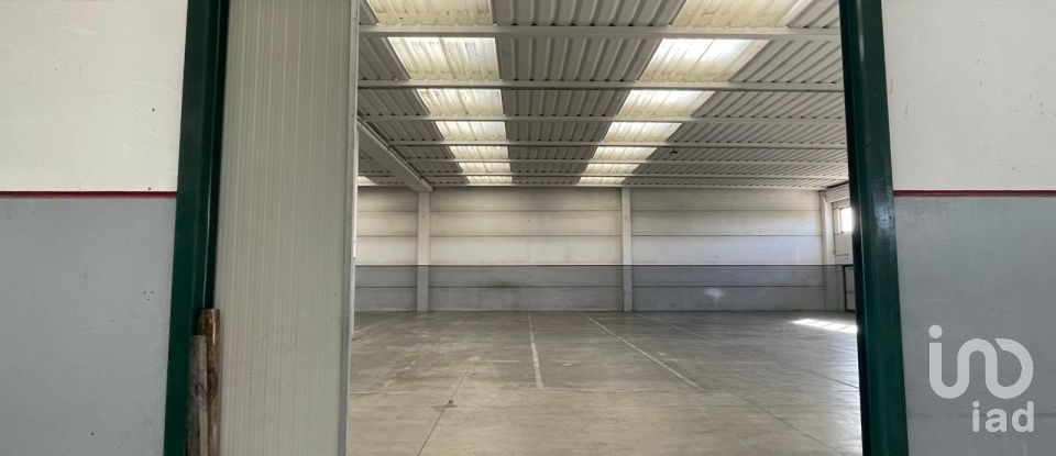 Capannone di 2.000 m² in Musile di Piave (30024)