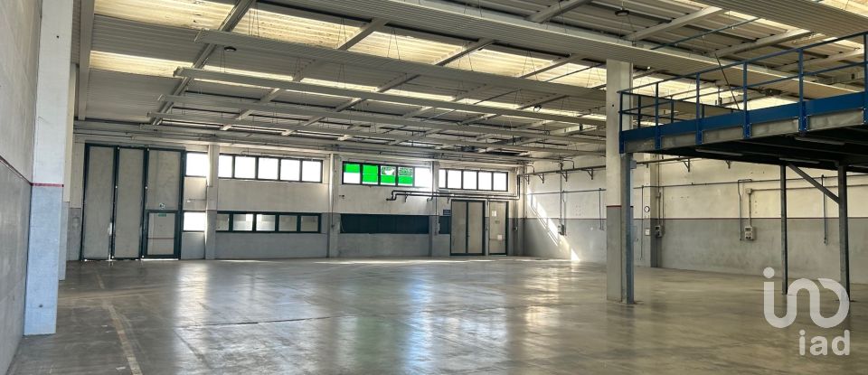 Capannone di 2.000 m² in Musile di Piave (30024)