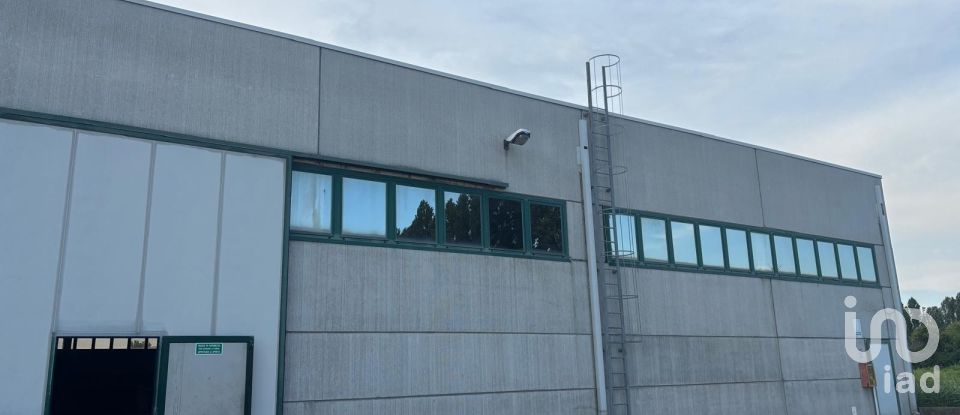 Capannone di 2.000 m² in Musile di Piave (30024)