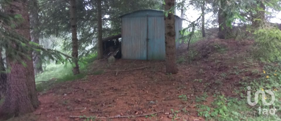 Casa indipendente / Villa 5 locali di 89 m² in Pigna (18037)