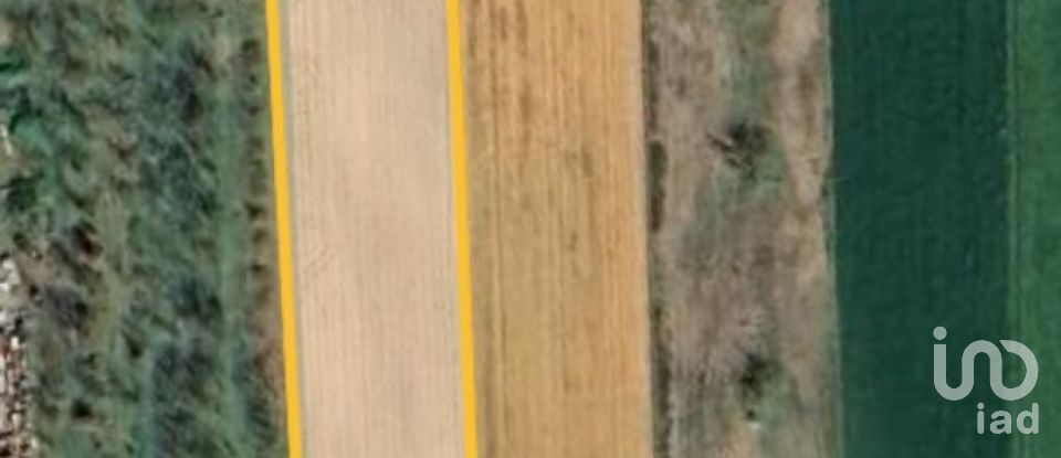 Townhouse 5 rooms of 116 m² in Alessandria (15122)