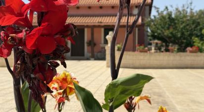 Farm 3 rooms of 249 m² in Avola (96012)