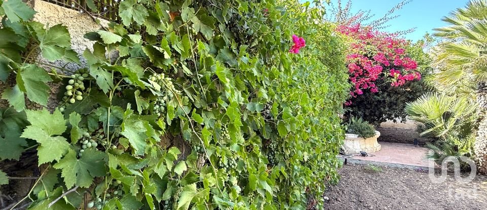 Casa indipendente 4 locali di 174 m² in Noto (96017)