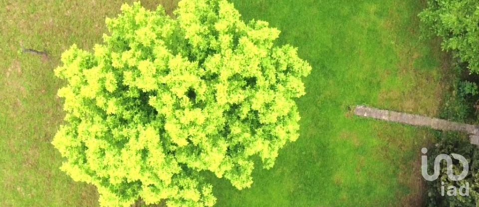 Terreno di 1.500 m² in Montichiari (25018)