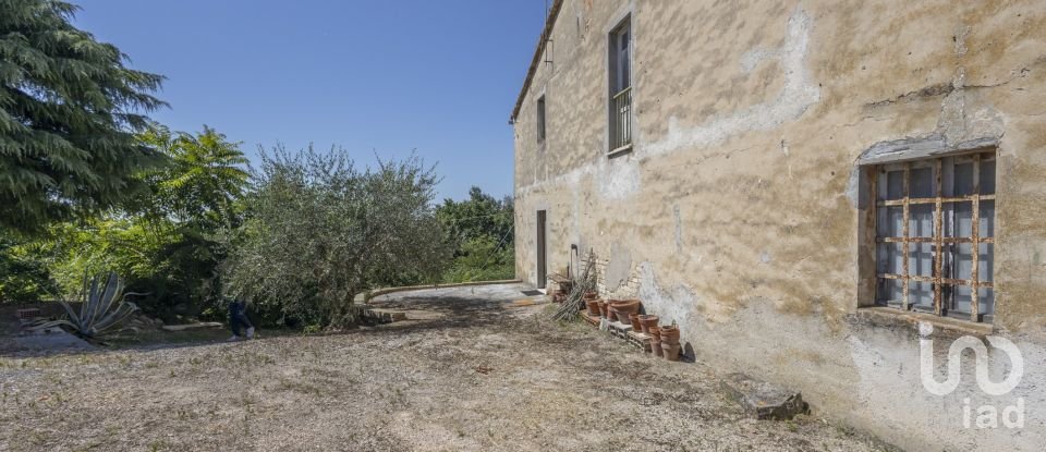 House 3 rooms of 240 m² in Offagna (60020)