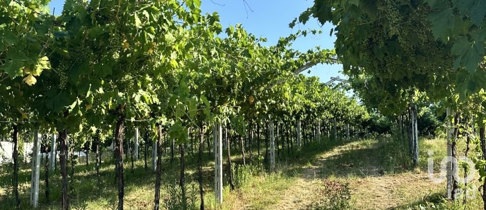 Country home 15 rooms of 717 m² in Marano di Valpolicella (37020)