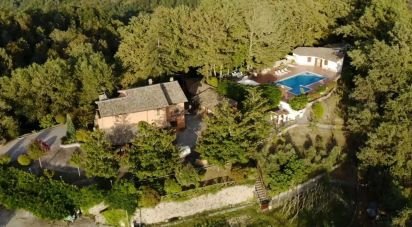 Building of 52,000 m² in Canterano (00020)