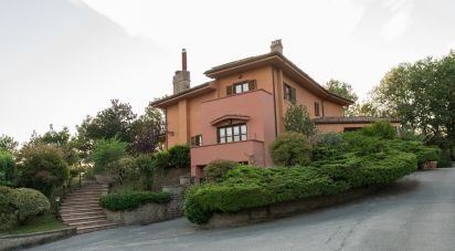 Building of 52,000 m² in Canterano (00020)