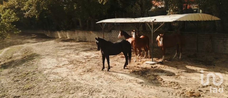 Palazzo / Stabile di 52.000 m² in Canterano (00020)