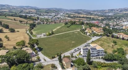 Varie superfici di 4.891 m² in Osimo (60027)
