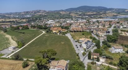 Varie superfici di 4.891 m² in Osimo (60027)
