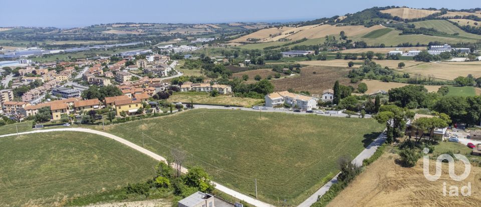 Varie superfici di 4.891 m² in Osimo (60027)